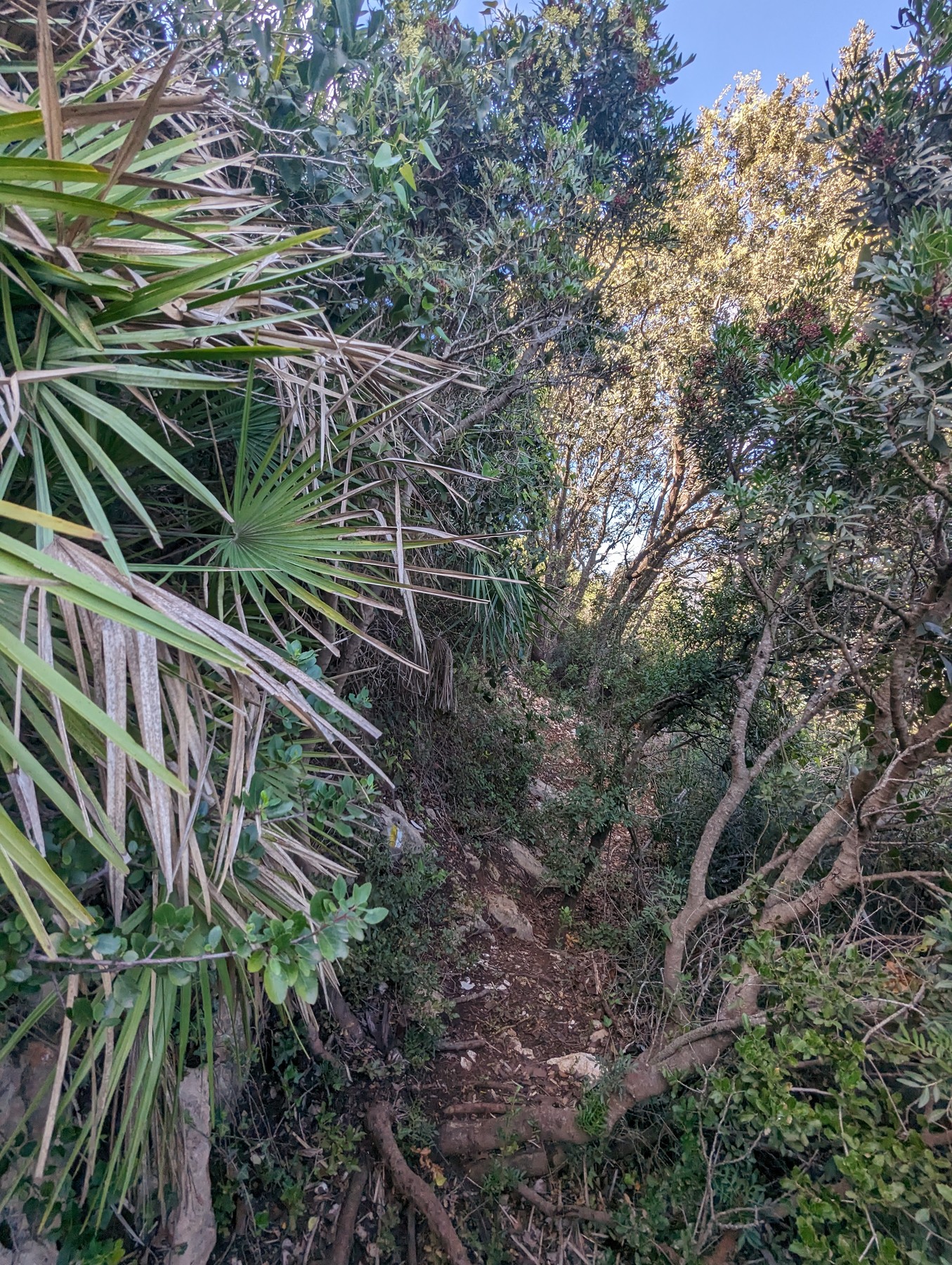 Local hiking Marxuquera